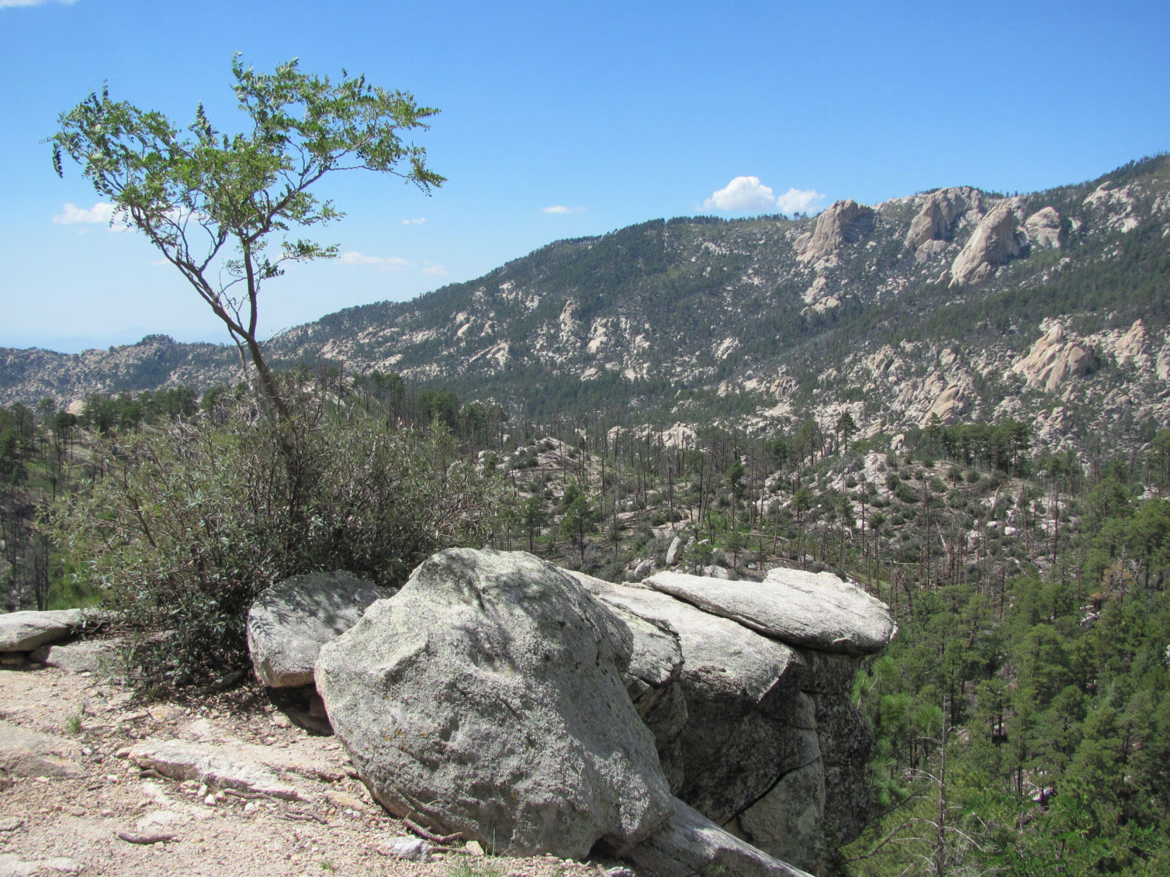 Scenery from the hike